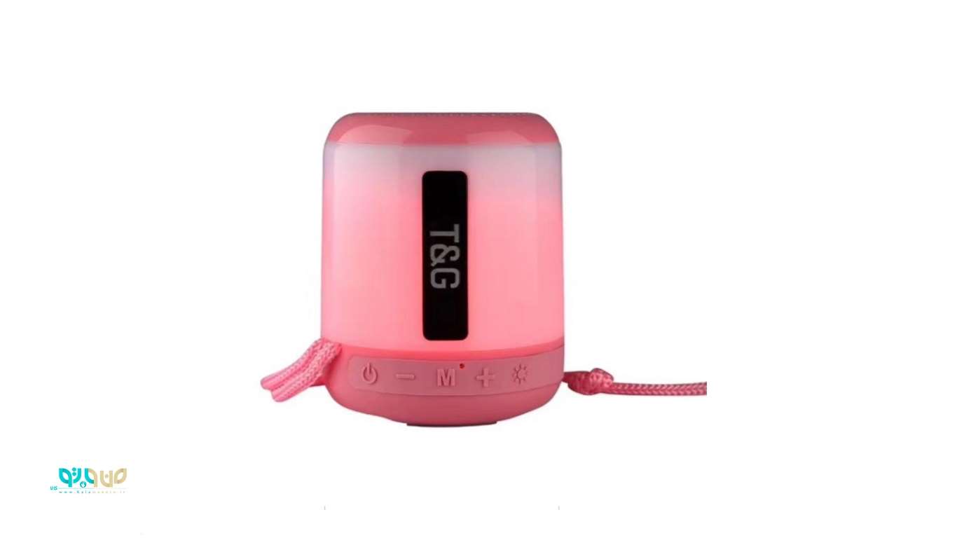 T&G TG-156 Wireless Portable speaker