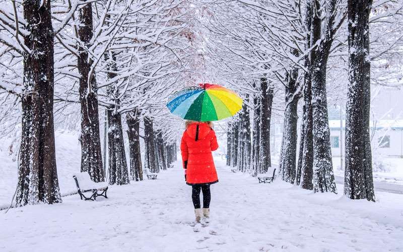 از چتر در عکاسی برف استفاده کنید