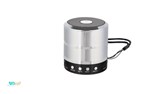 Portable Bluetooth speaker model WS-887